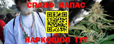 спиды Аргун