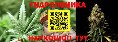 ГАЛЛЮЦИНОГЕННЫЕ ГРИБЫ Заводоуковск