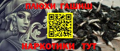 ГАЛЛЮЦИНОГЕННЫЕ ГРИБЫ Заводоуковск