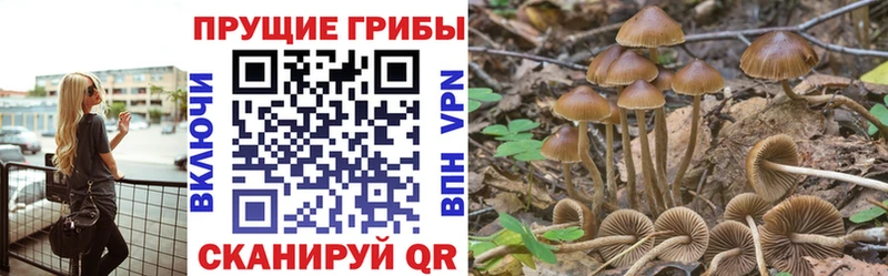 Галлюциногенные грибы GOLDEN TEACHER  Можга 