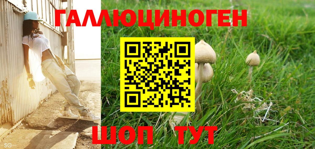 Галлюциногенные грибы MAGIC MUSHROOMS Можга