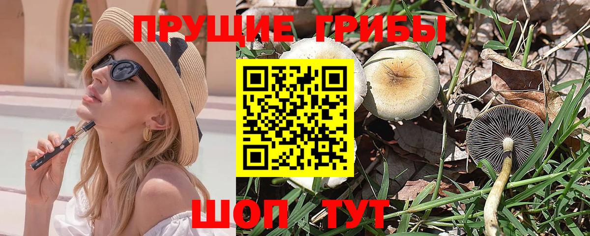Псилоцибиновые грибы прущие грибы Можга