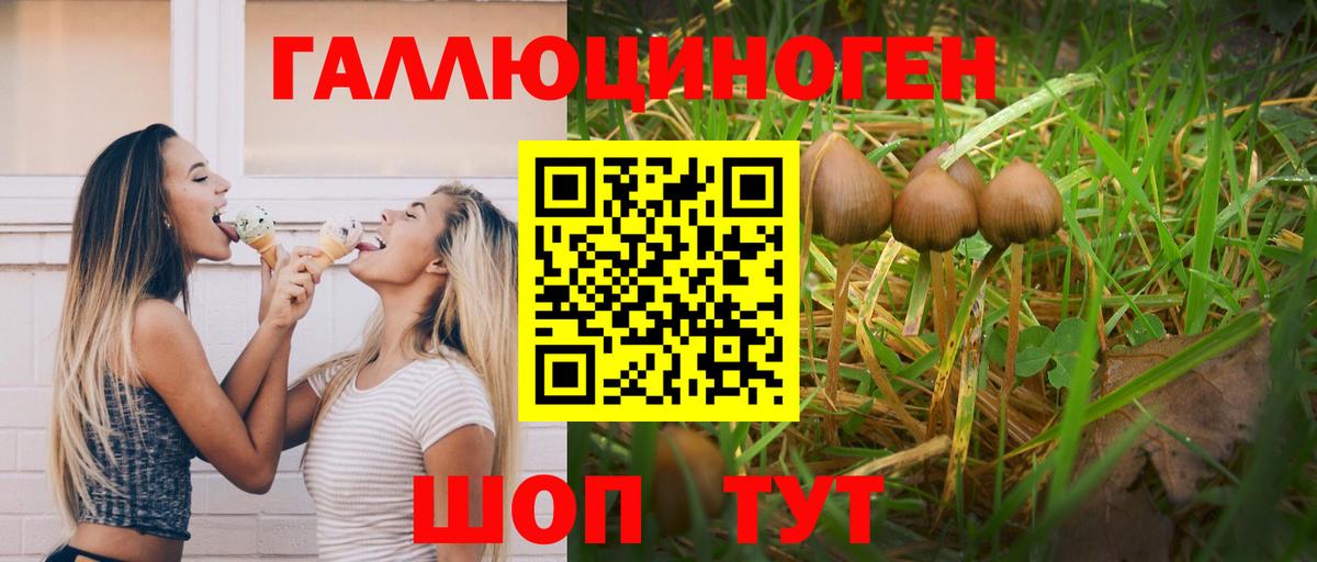 Галлюциногенные грибы ЛСД  Вход с VPN  Можга 