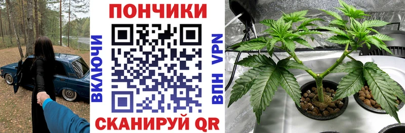 darknet официальный сайт  Можга  Шишки марихуана планчик  где найти  